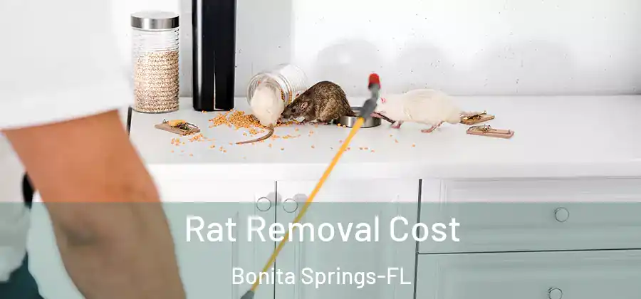  Rat Removal Cost Bonita Springs-FL