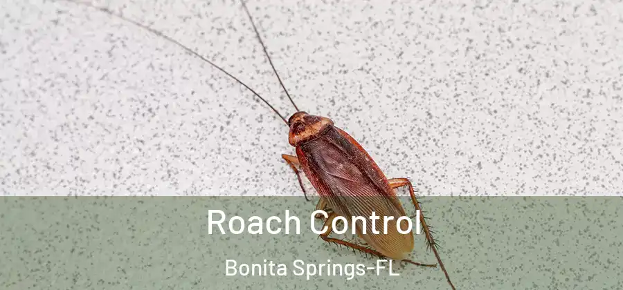  Roach Control Bonita Springs-FL