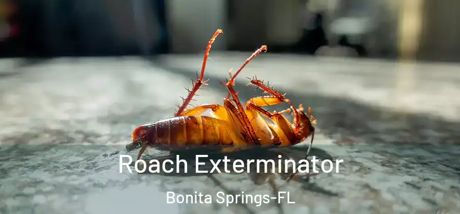  Roach Exterminator Bonita Springs-FL