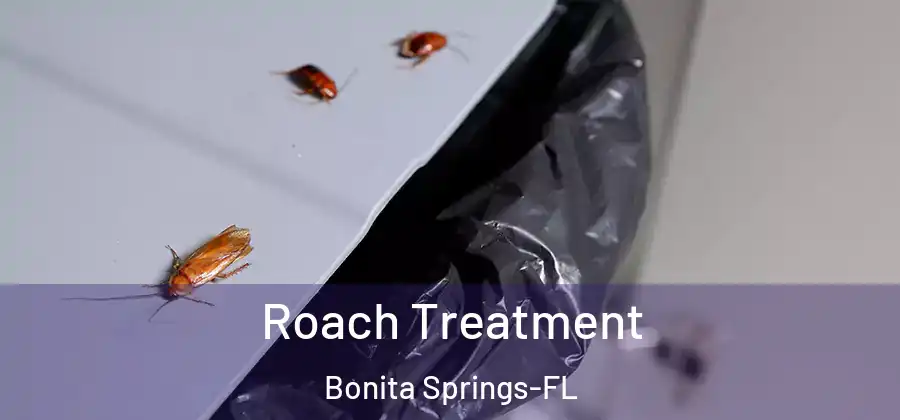  Roach Treatment Bonita Springs-FL