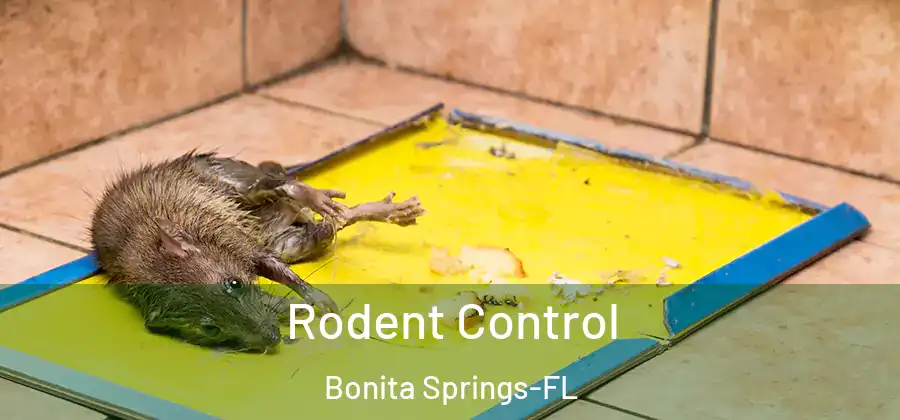  Rodent Control Bonita Springs-FL