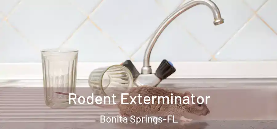  Rodent Exterminator Bonita Springs-FL