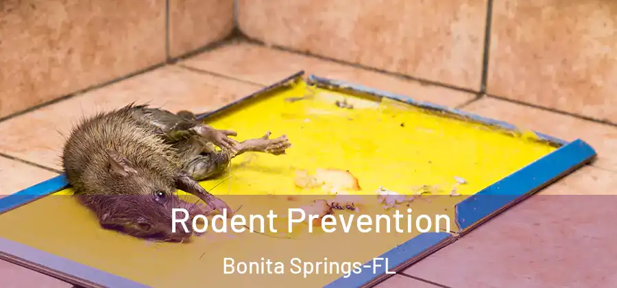  Rodent Prevention Bonita Springs-FL
