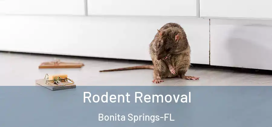  Rodent Removal Bonita Springs-FL