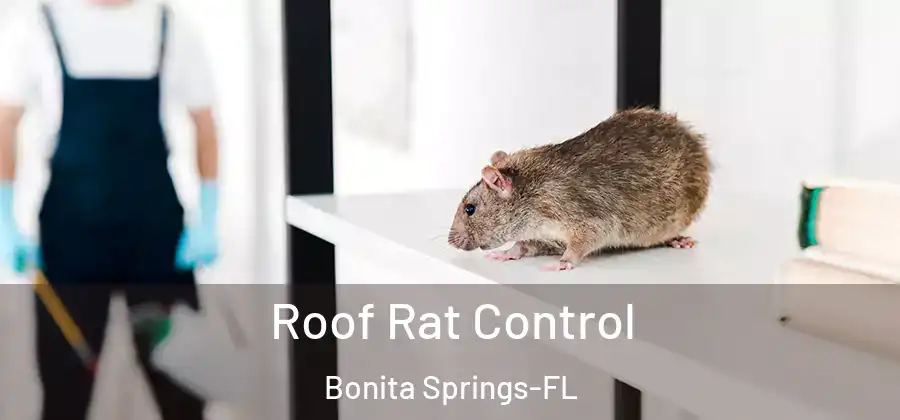  Roof Rat Control Bonita Springs-FL