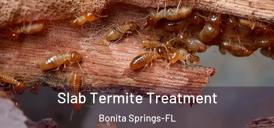  Slab Termite Treatment Bonita Springs-FL