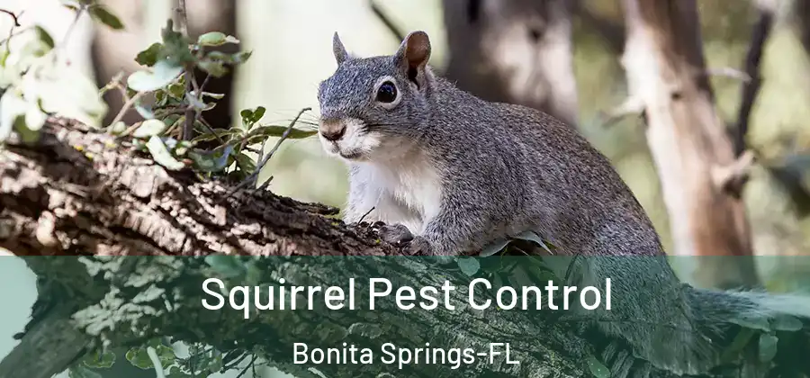  Squirrel Pest Control Bonita Springs-FL