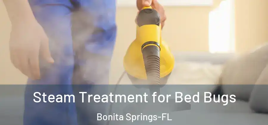 Steam Treatment for Bed Bugs Bonita Springs-FL