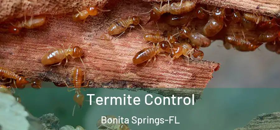  Termite Control Bonita Springs-FL