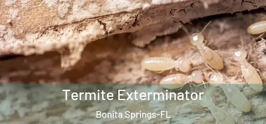  Termite Exterminator Bonita Springs-FL