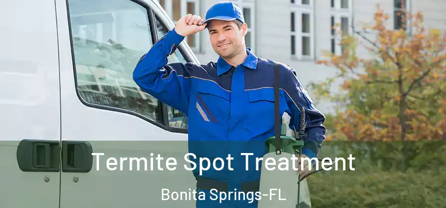 Termite Spot Treatment Bonita Springs-FL