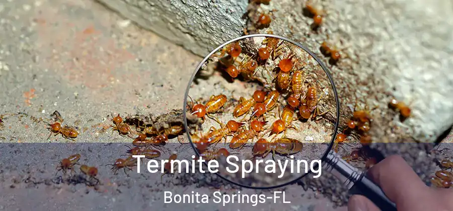 Termite Spraying Bonita Springs-FL