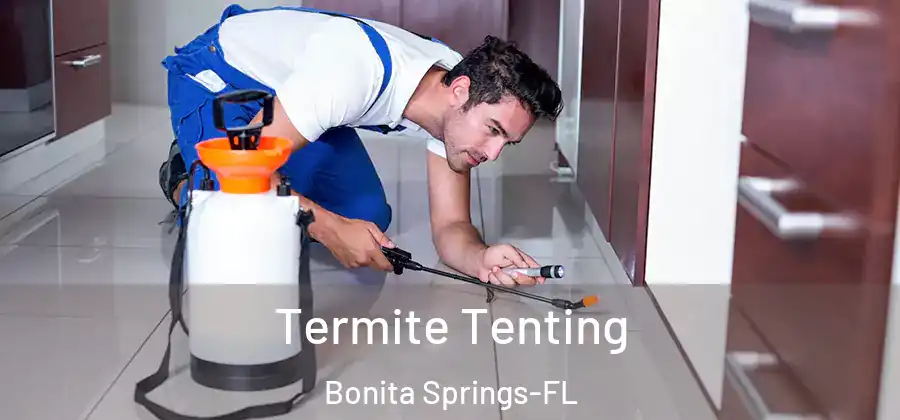  Termite Tenting Bonita Springs-FL