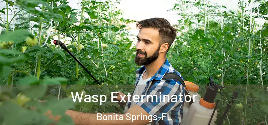  Wasp Exterminator Bonita Springs-FL