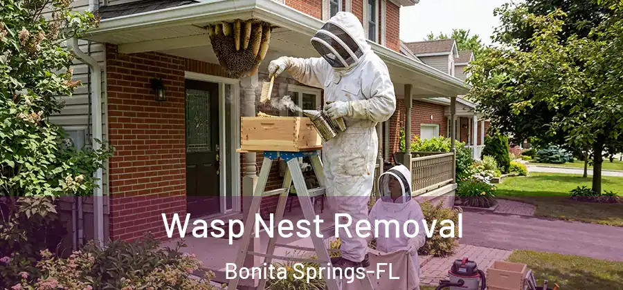  Wasp Nest Removal Bonita Springs-FL