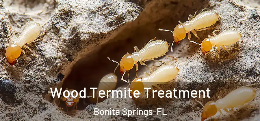  Wood Termite Treatment Bonita Springs-FL