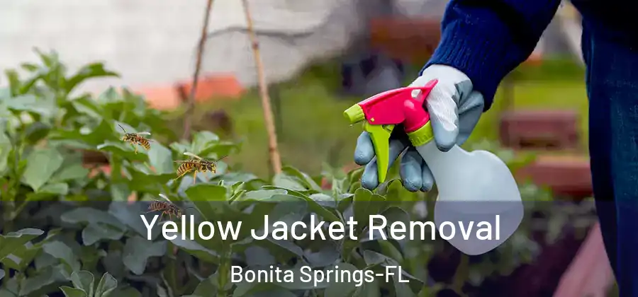  Yellow Jacket Removal Bonita Springs-FL
